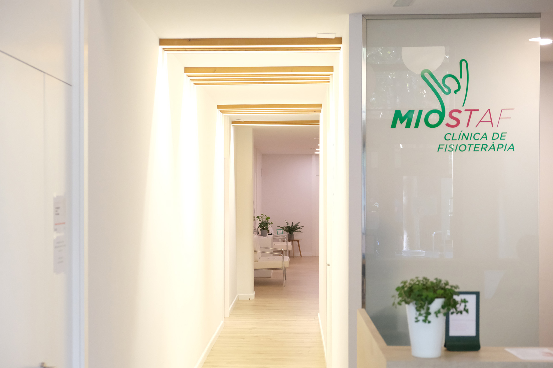Miostaf: Interior de la clínica de fisioterapia de Miostaf Miostaf: Interior de la clínica de fisioterapia de Miostaf